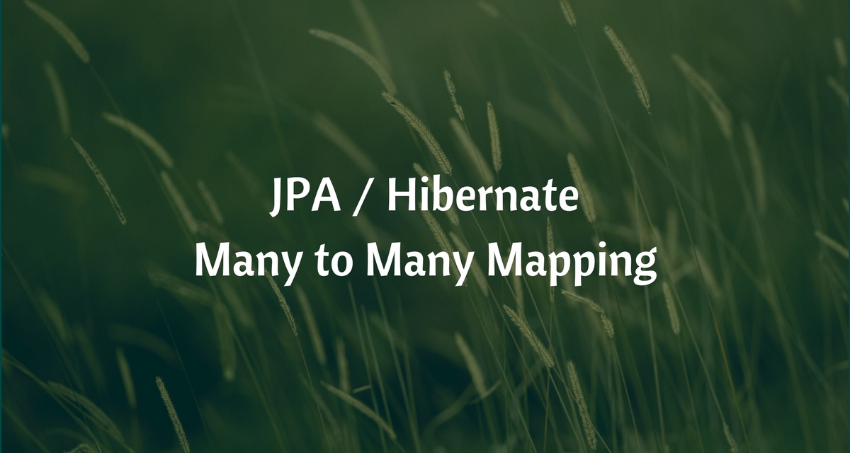 JPA Hibernate Many To Many Mapping Example With Spring Boot CalliCoder